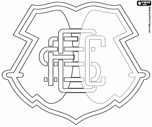 Distintivo Do Santa Cruz Futebol Clube Para Colorir E Imprimir